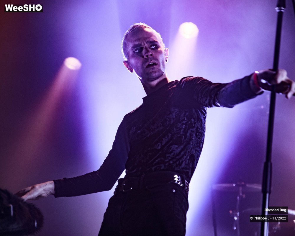 4/10 photos du spectacle Diamond Dog
