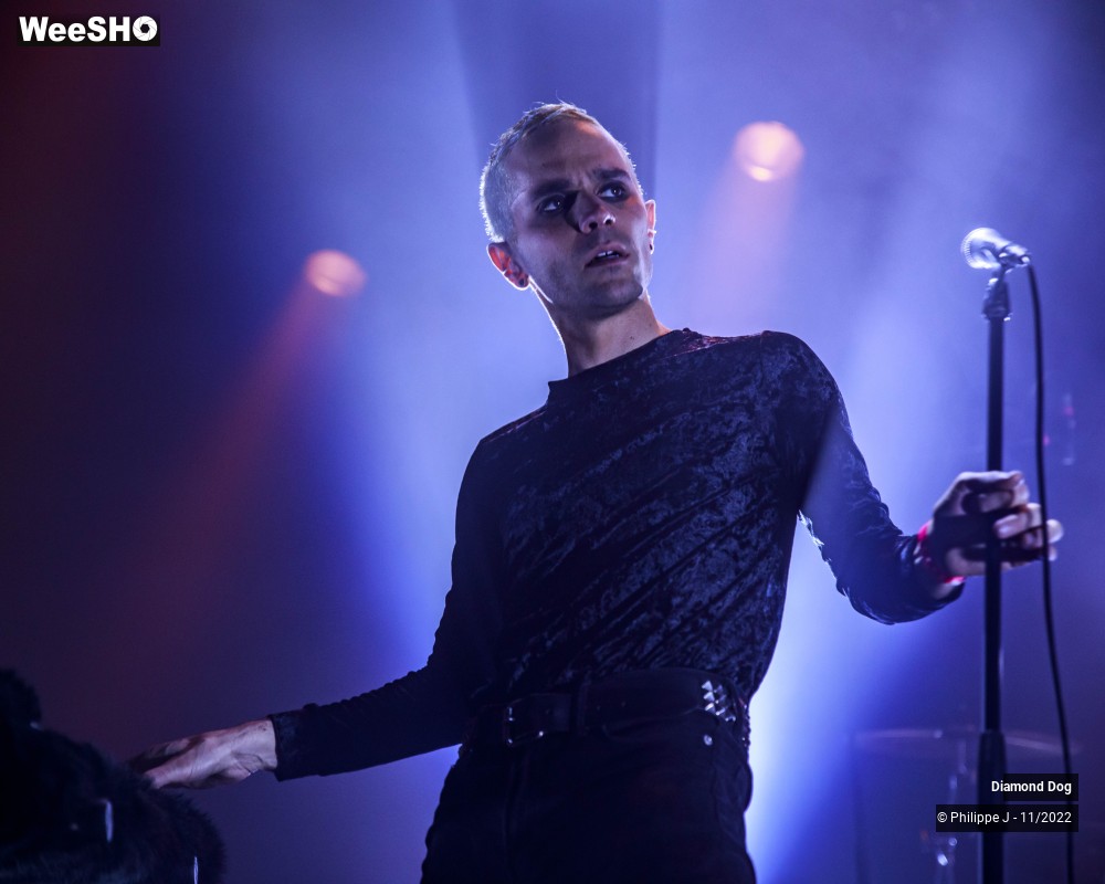 5/10 photos du spectacle Diamond Dog