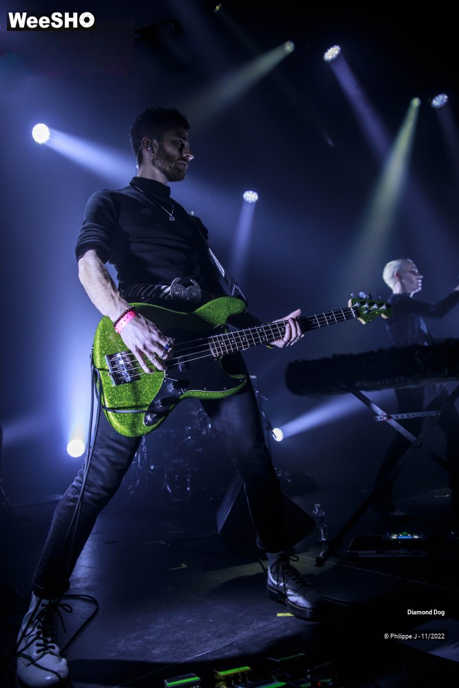 6/10 photos du spectacle Diamond Dog