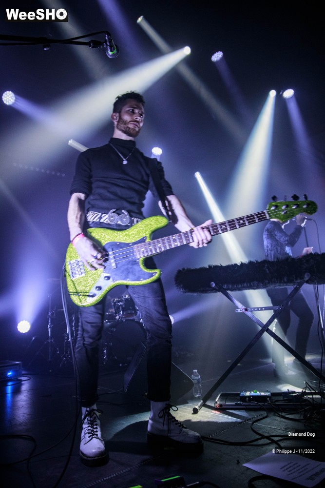 7/10 photos du spectacle Diamond Dog