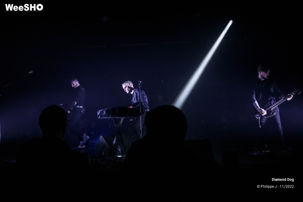 10/10 photos du spectacle Diamond Dog