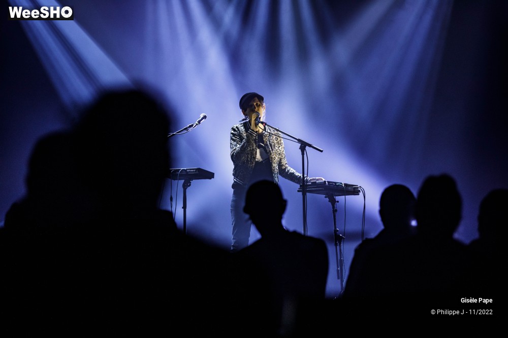 15/20 photos du spectacle Gisèle Pape