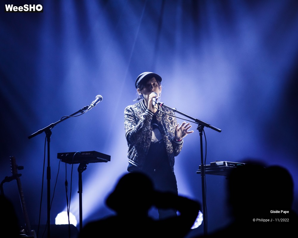 16/20 photos du spectacle Gisèle Pape