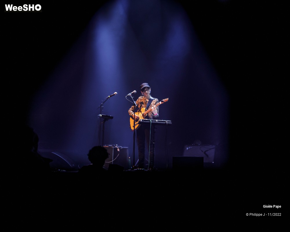18/20 photos du spectacle Gisèle Pape