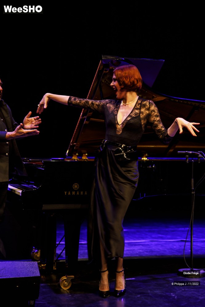 4/20 photos du spectacle Elodie Frégé et André Manoukian