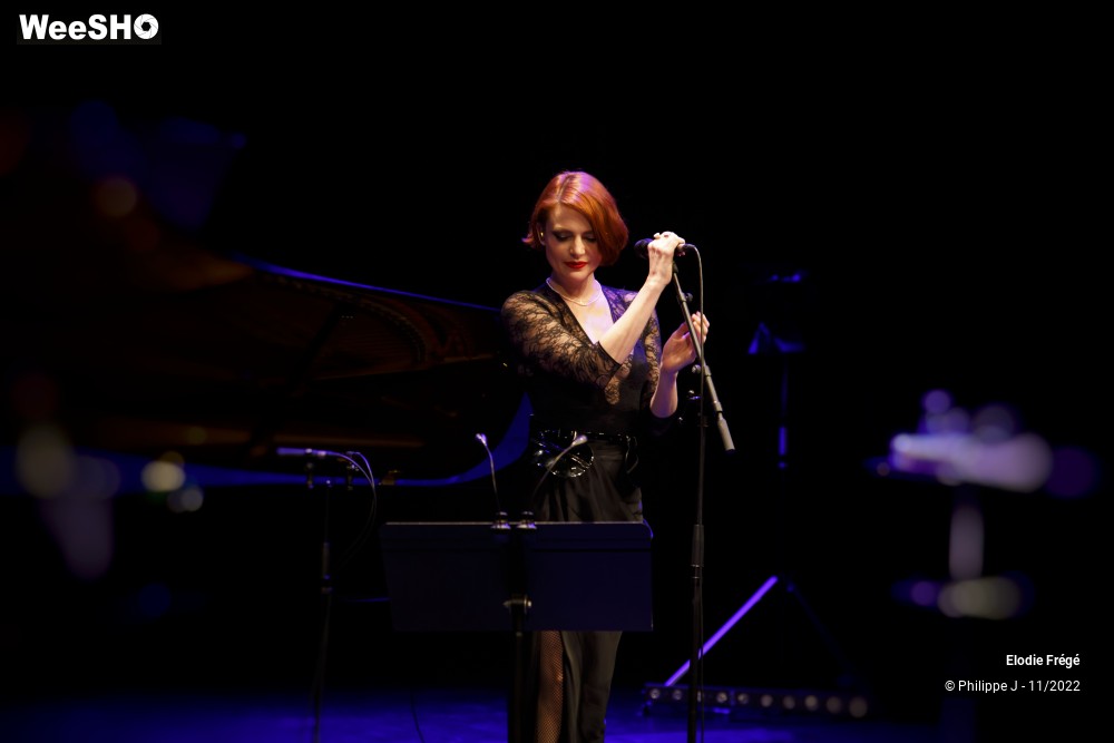 5/20 photos du spectacle Elodie Frégé et André Manoukian