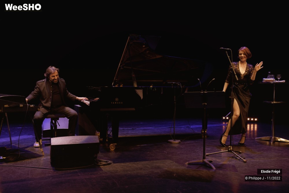 7/20 photos du spectacle Elodie Frégé et André Manoukian