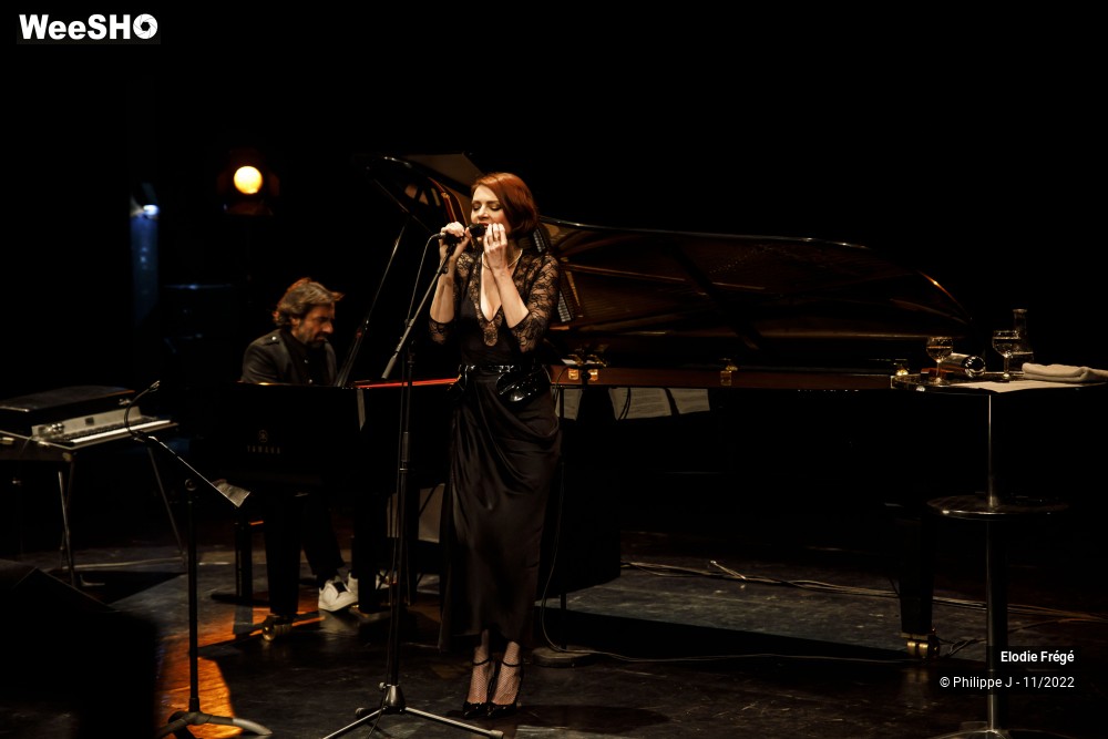 8/20 photos du spectacle Elodie Frégé et André Manoukian