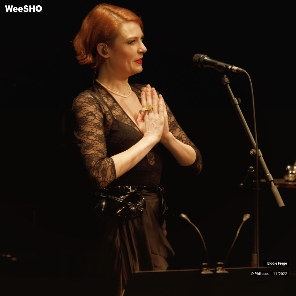 11/20 photos du spectacle Elodie Frégé et André Manoukian