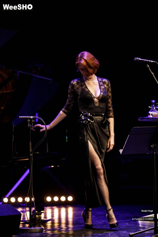 13/20 photos du spectacle Elodie Frégé et André Manoukian