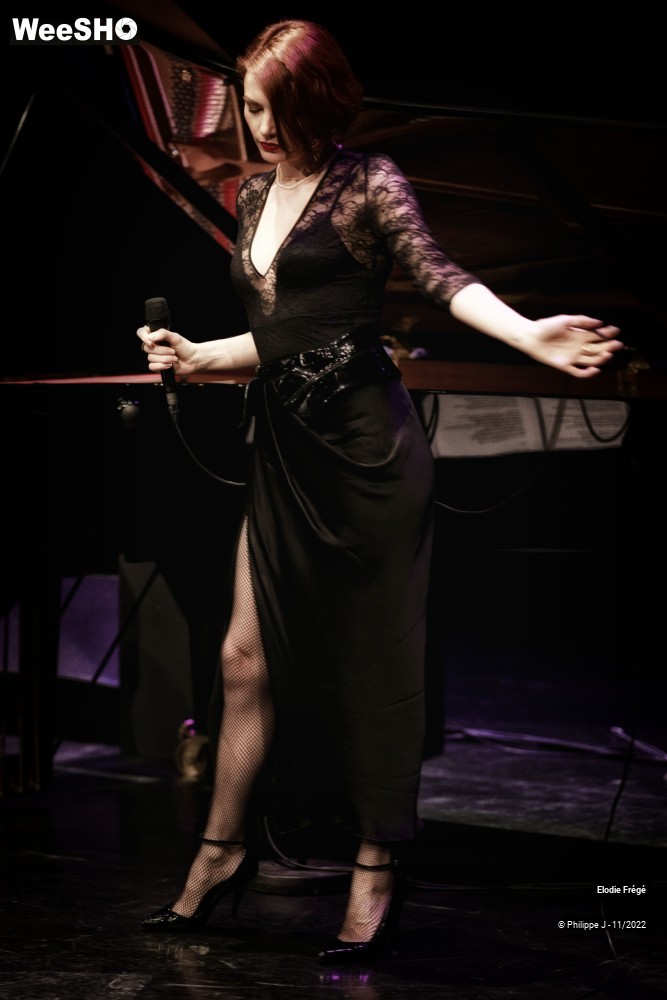 17/20 photos du spectacle Elodie Frégé et André Manoukian