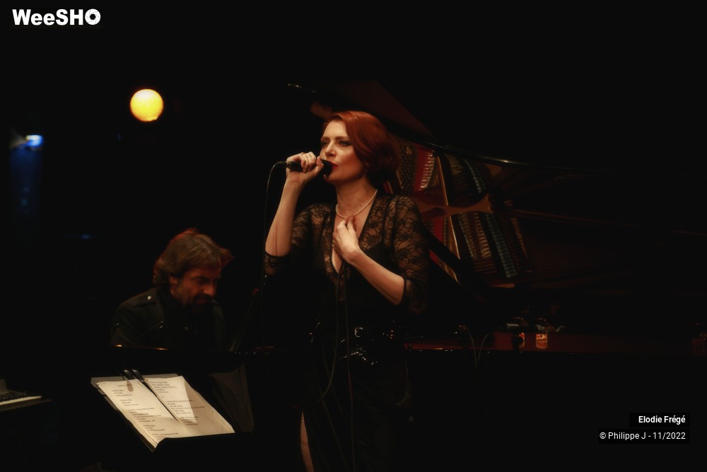 18/20 photos du spectacle Elodie Frégé et André Manoukian