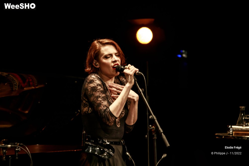 19/20 photos du spectacle Elodie Frégé et André Manoukian