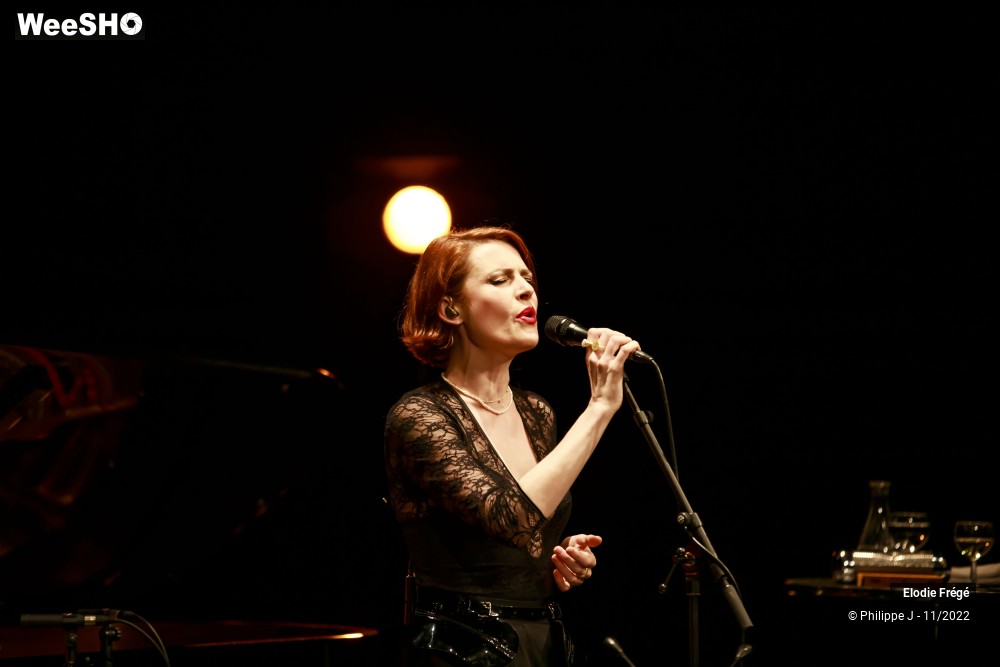 20/20 photos du spectacle Elodie Frégé et André Manoukian