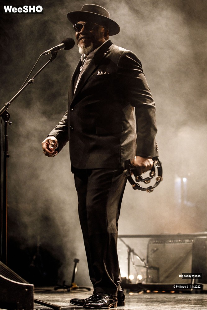 13/20 photos du spectacle Big Daddy Wilson