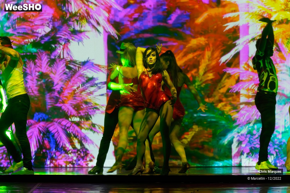 13/18 photos du spectacle Alors on danse ?