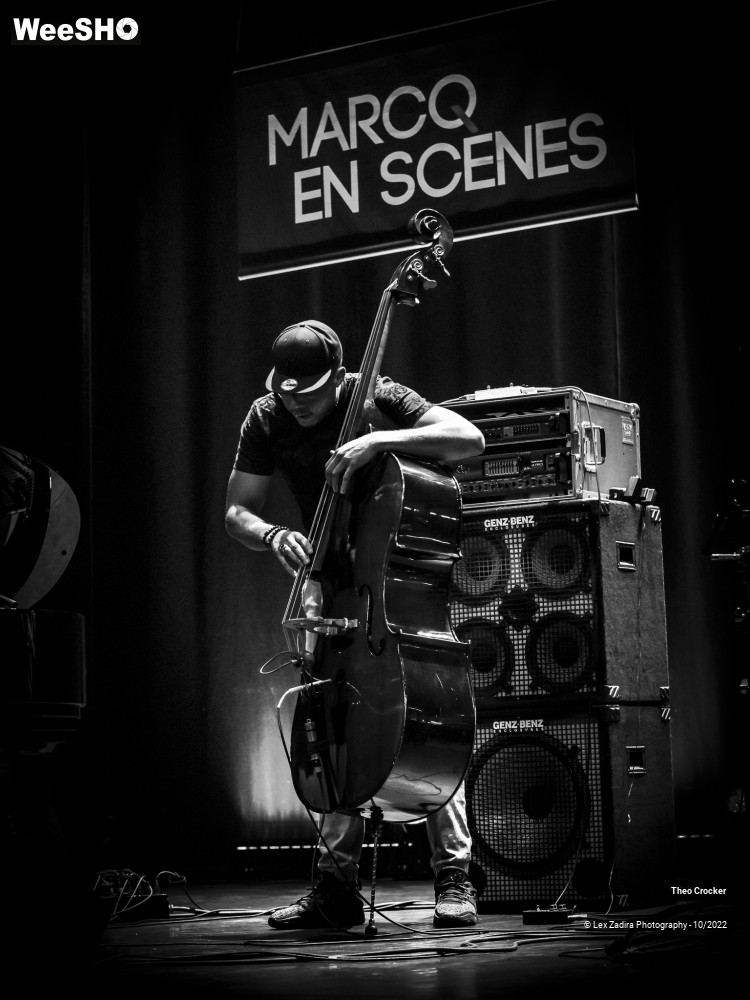 2/10 photos du spectacle Théo Crocker