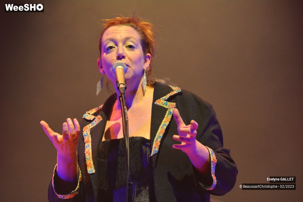 14/49 photos du spectacle Evelyne Gallet