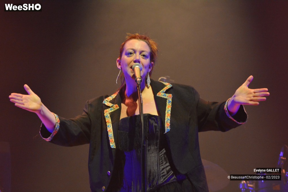 15/49 photos du spectacle Evelyne Gallet