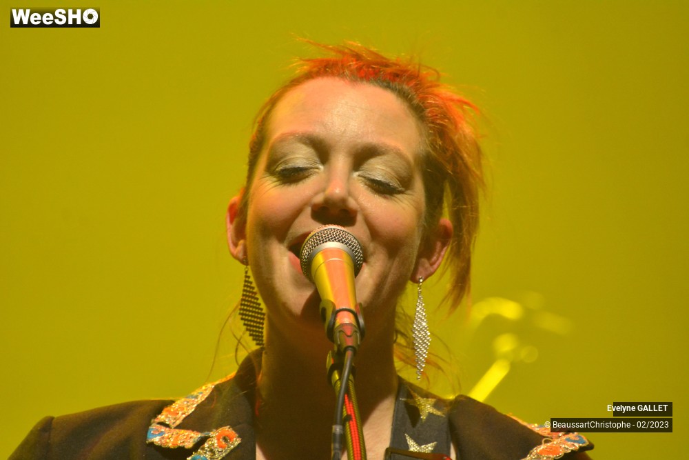 30/49 photos du spectacle Evelyne Gallet