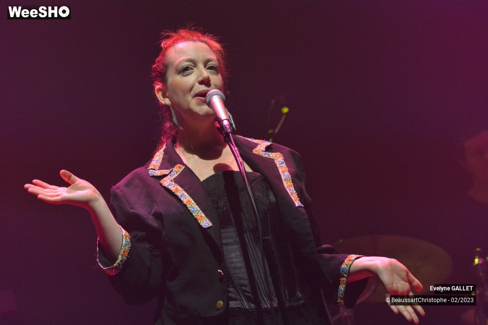 35/49 photos du spectacle Evelyne Gallet