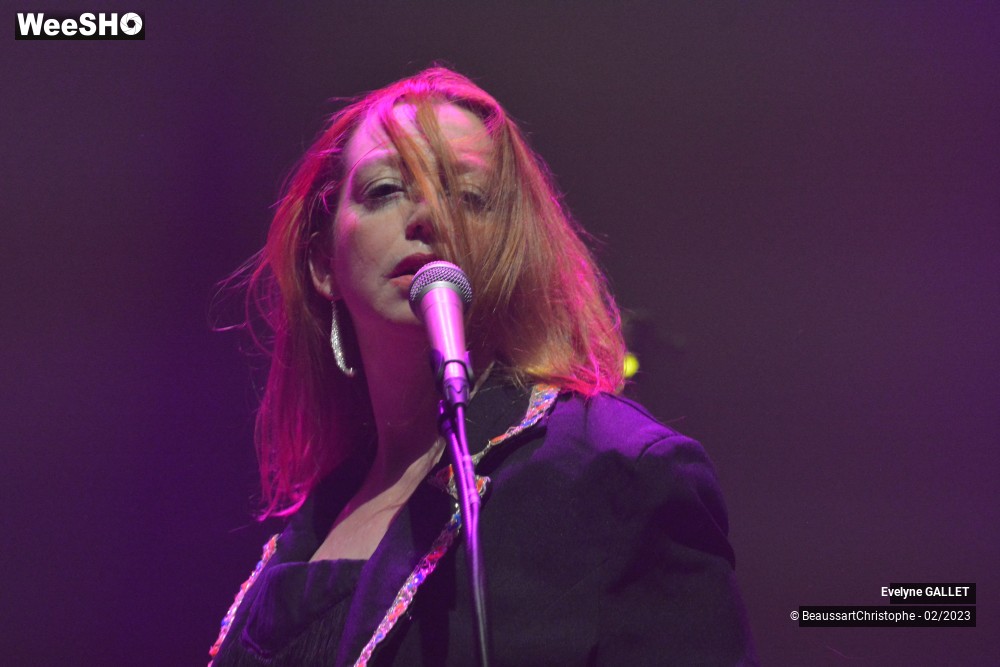 36/49 photos du spectacle Evelyne Gallet