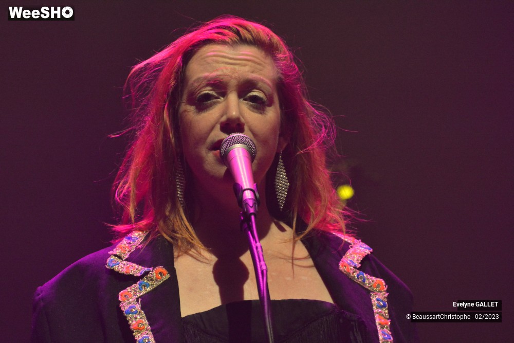 38/49 photos du spectacle Evelyne Gallet