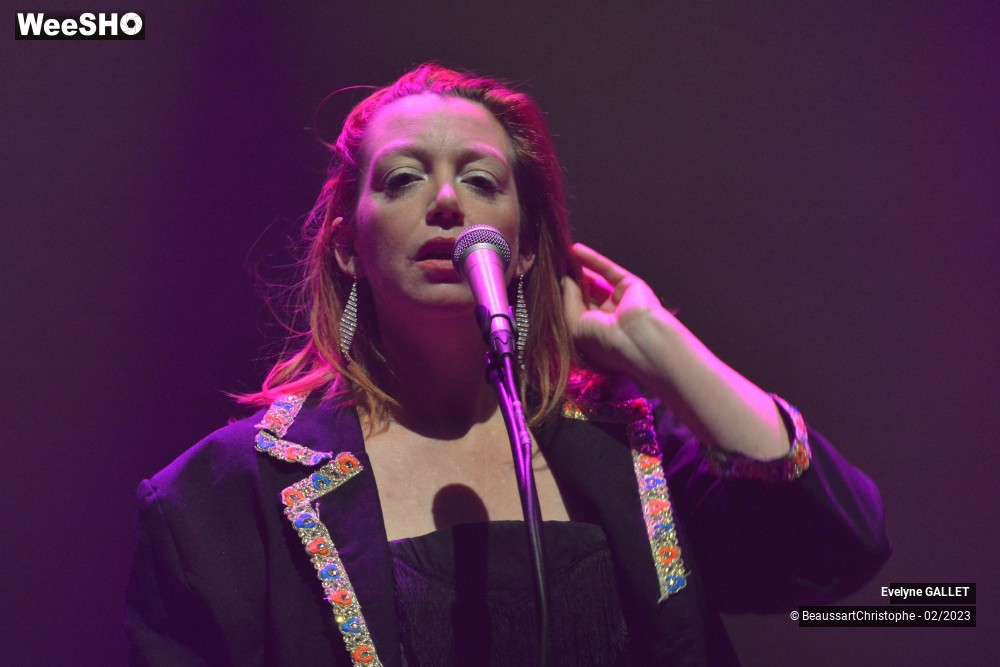 39/49 photos du spectacle Evelyne Gallet