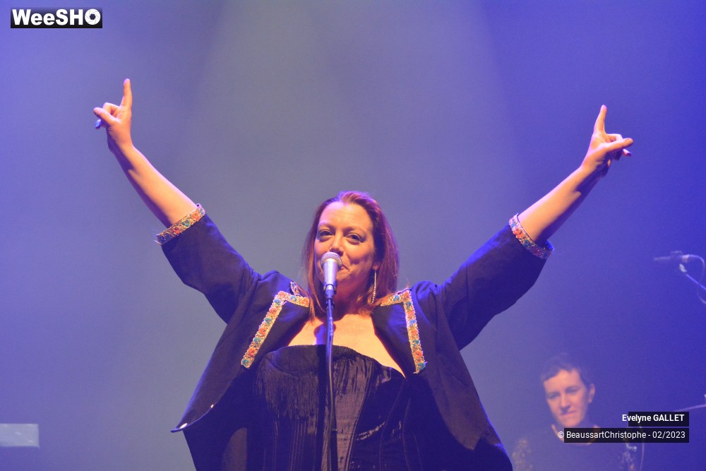 42/49 photos du spectacle Evelyne Gallet