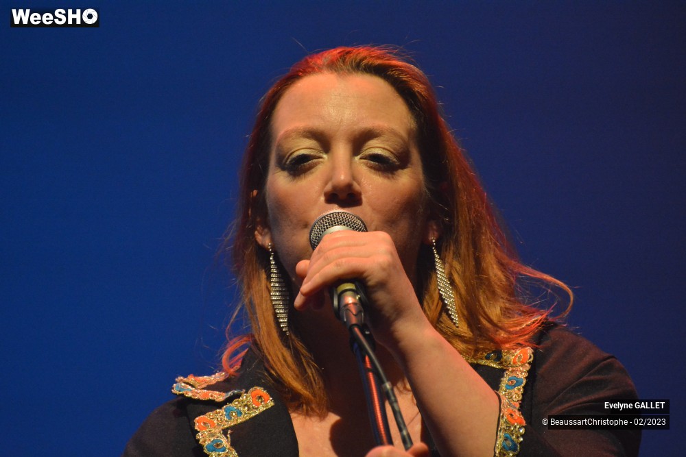 45/49 photos du spectacle Evelyne Gallet