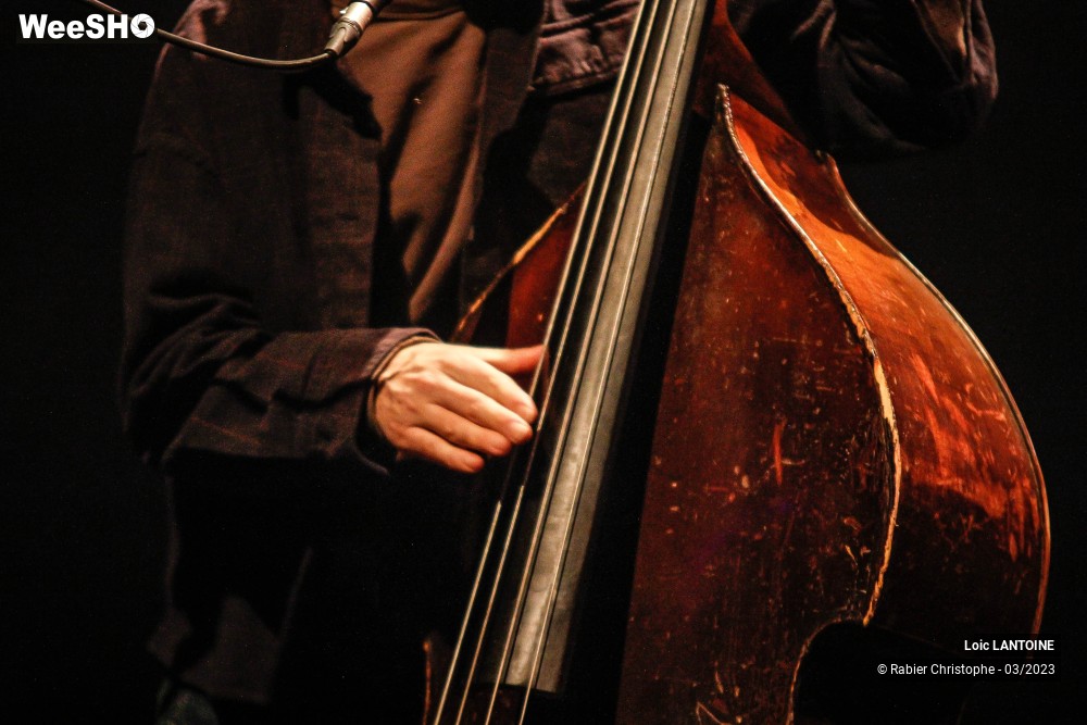 6/36 photos du spectacle Loic Lantoine et Francois Pierron