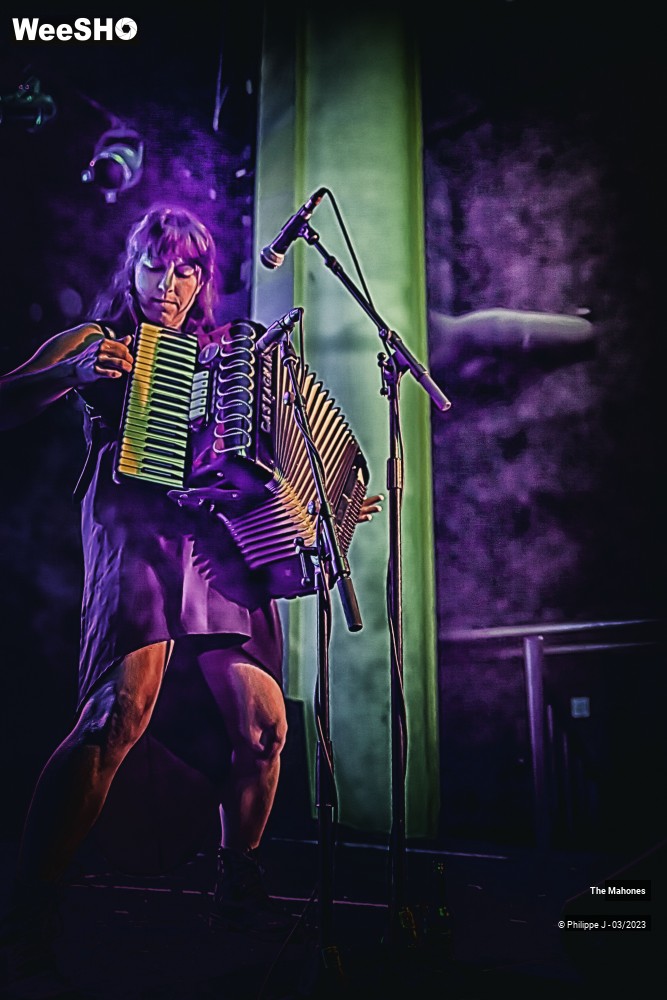 3/20 photos du spectacle The Mahones