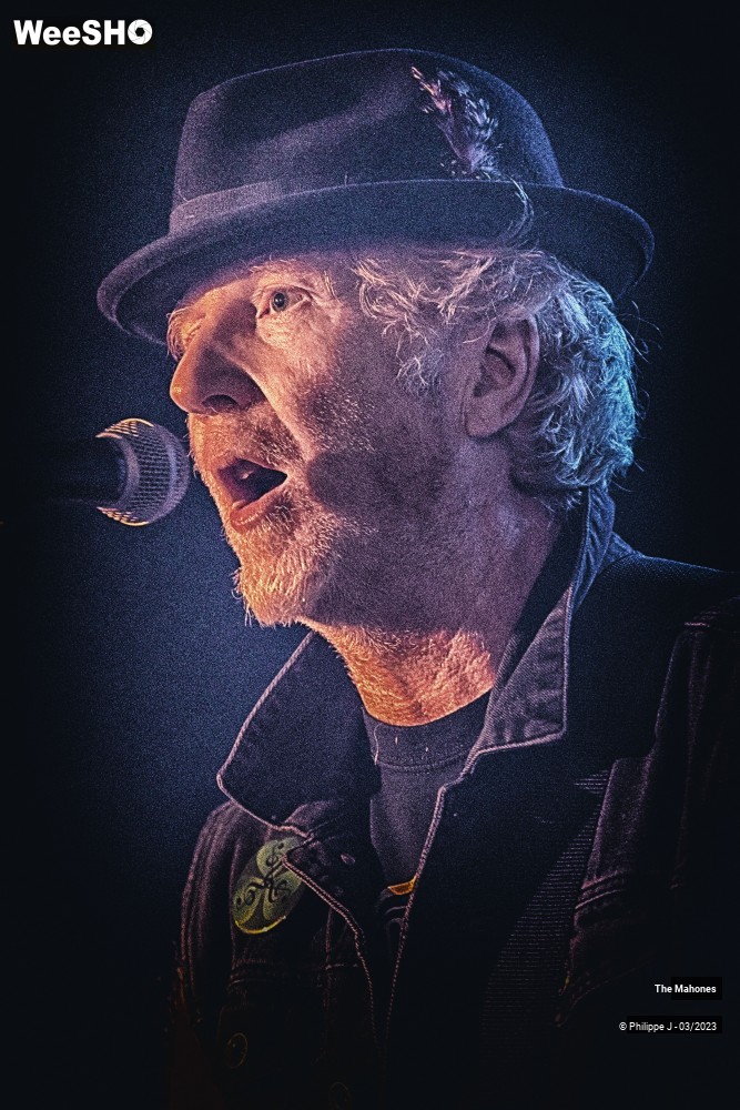 13/20 photos du spectacle The Mahones