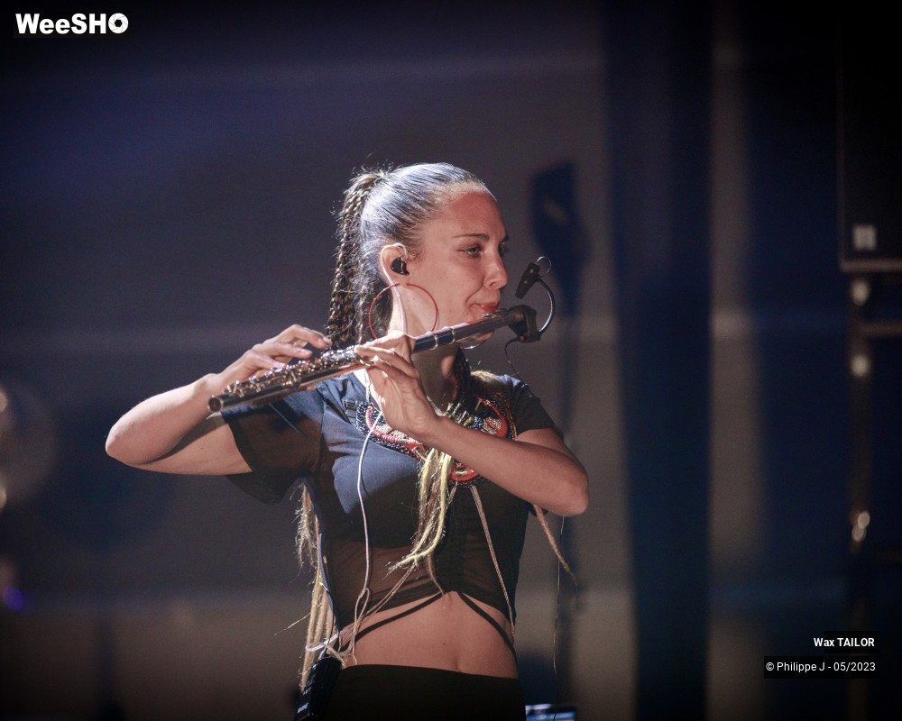 11/19 photos du spectacle Wax Tailor