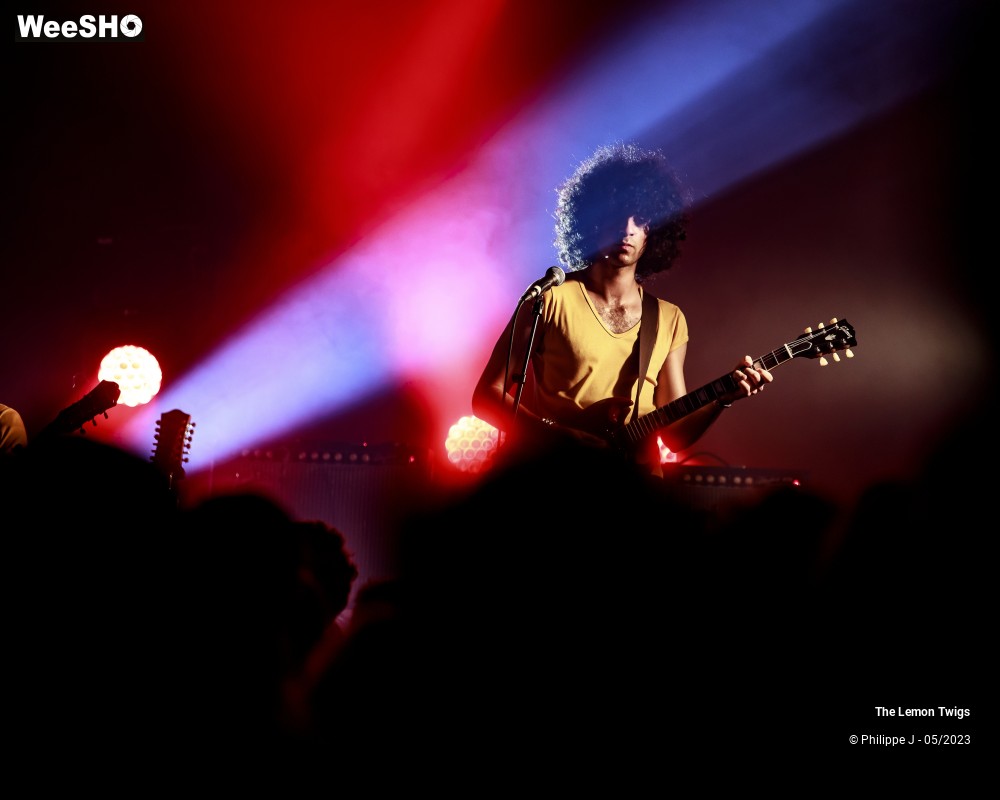 14/17 photos du spectacle The Lemon Twigs