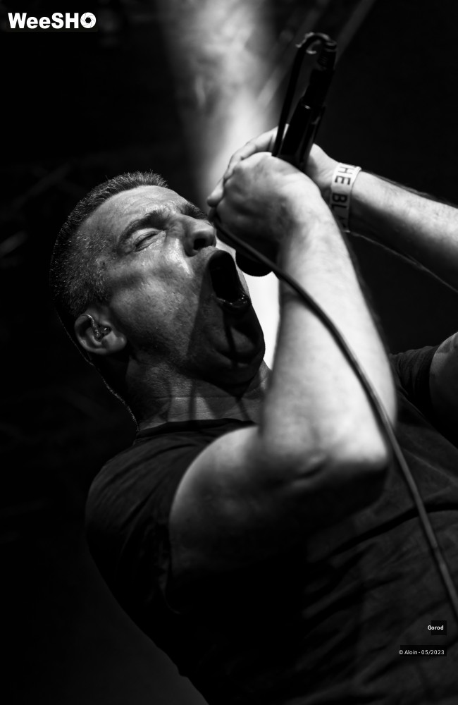 10/33 photos du spectacle GOROD