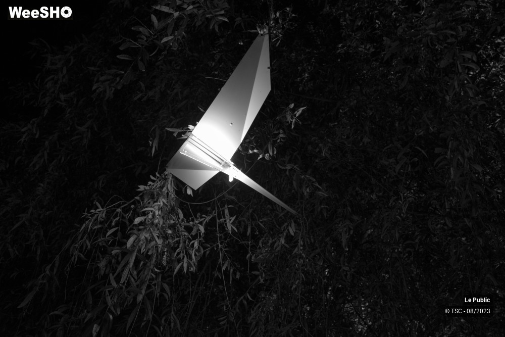 40/50 photos du spectacle Ambiance du 16 août 2023 au Cabaret Vert