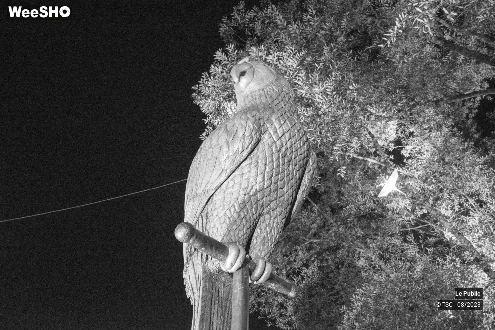 46/50 photos du spectacle Ambiance du 16 août 2023 au Cabaret Vert