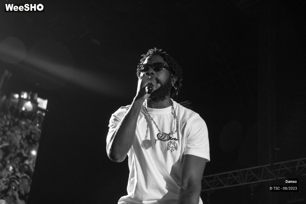 3/6 photos du spectacle Damso