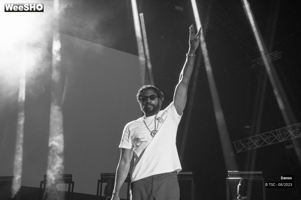 5/6 photos du spectacle Damso