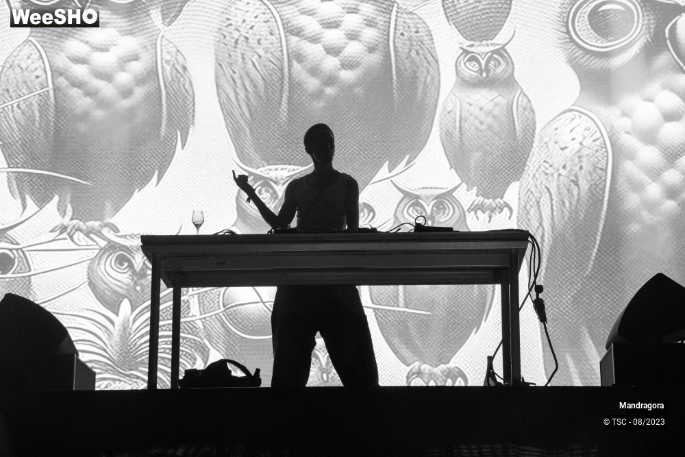 16/18 photos du spectacle Mandragora