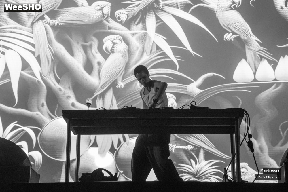 17/18 photos du spectacle Mandragora