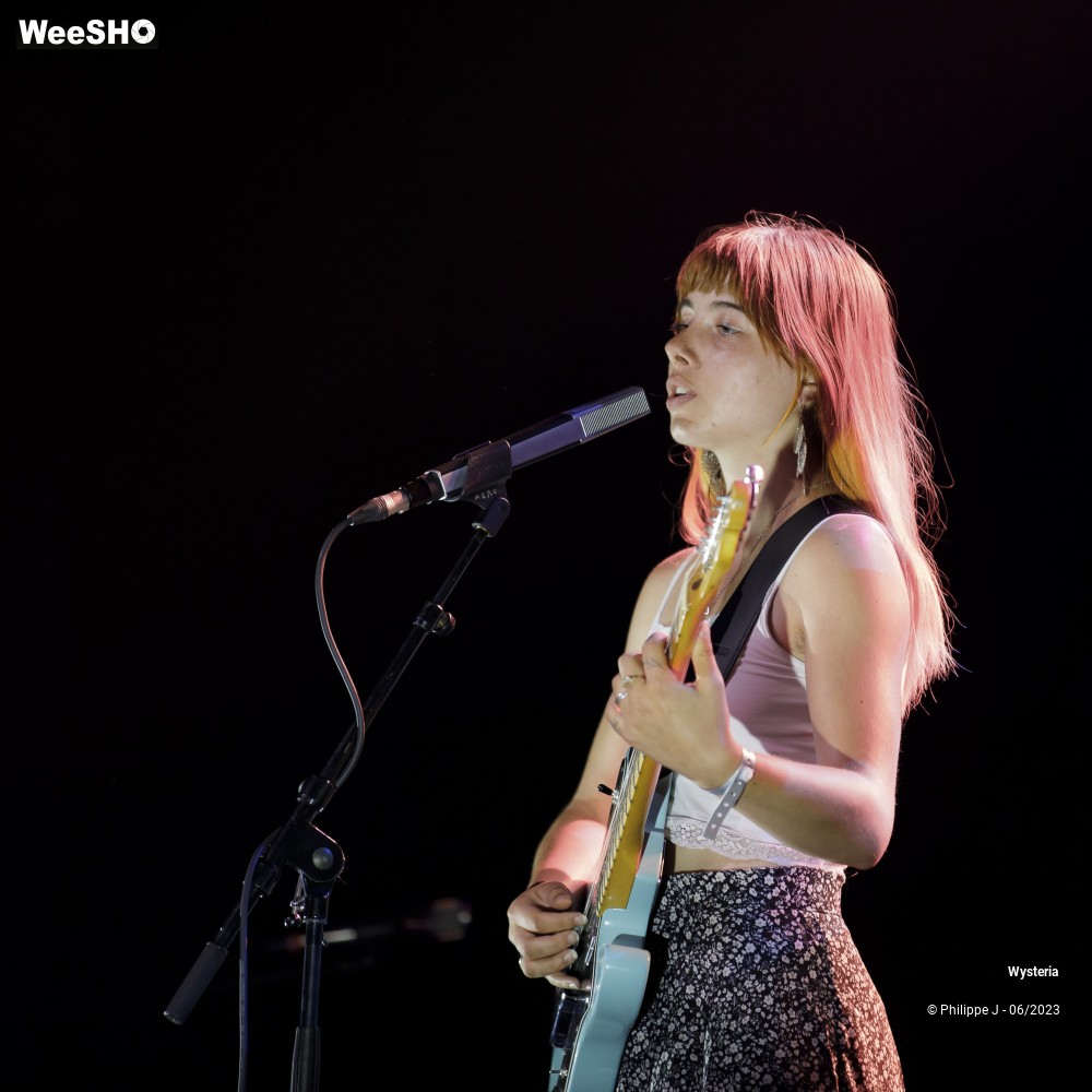 8/10 photos du spectacle Wysteria