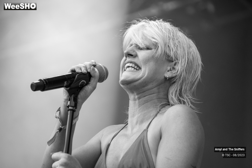 14/16 photos du spectacle Amyl & the Sniffers