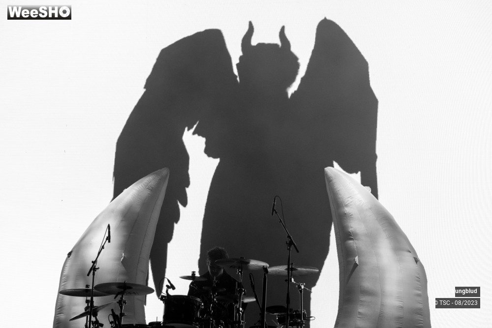 1/17 photos du spectacle Yungblub