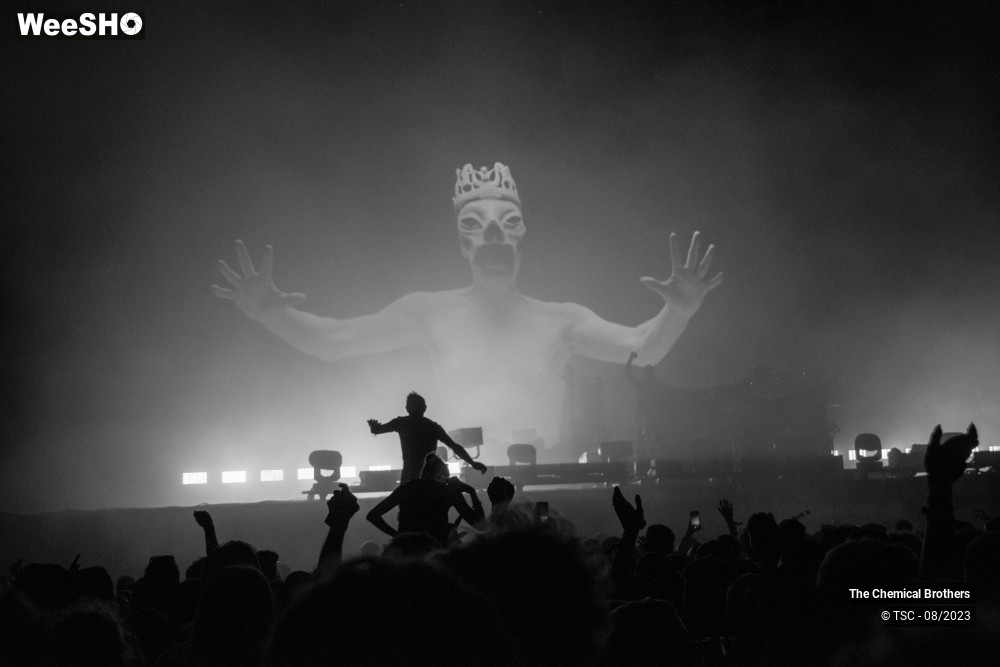 11/11 photos du spectacle The Chemical Brothers