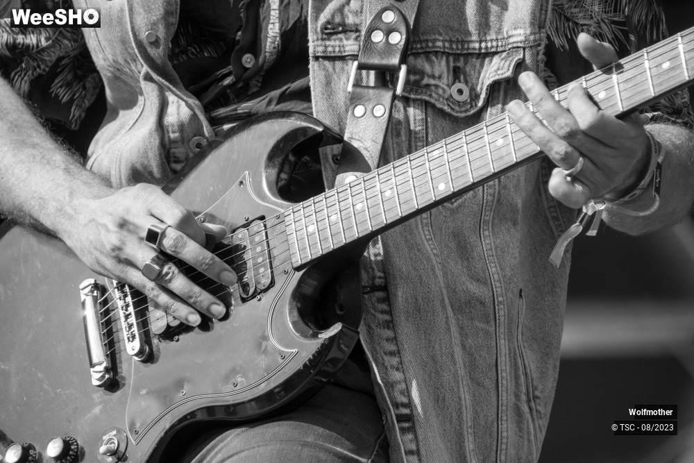 8/10 photos du spectacle Wolfmother