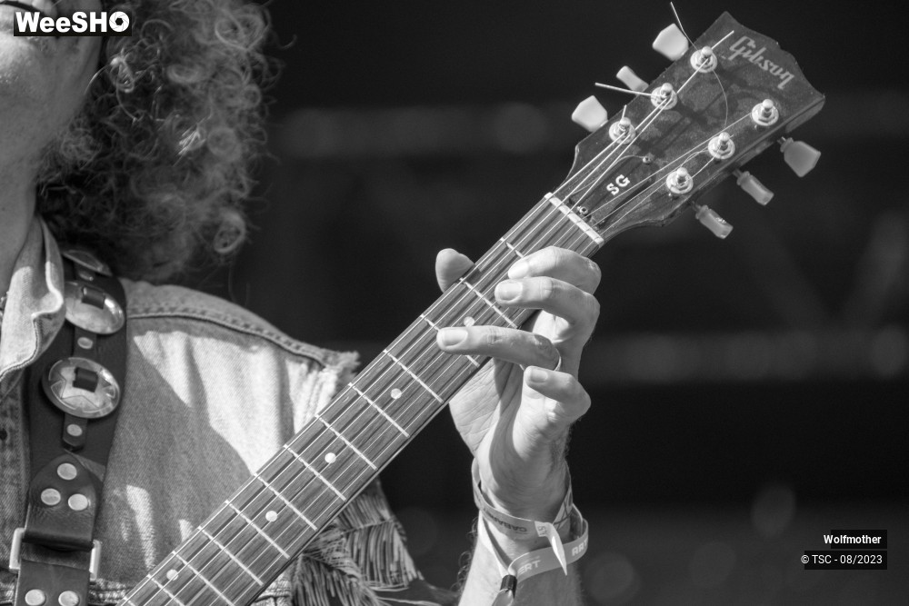 9/10 photos du spectacle Wolfmother