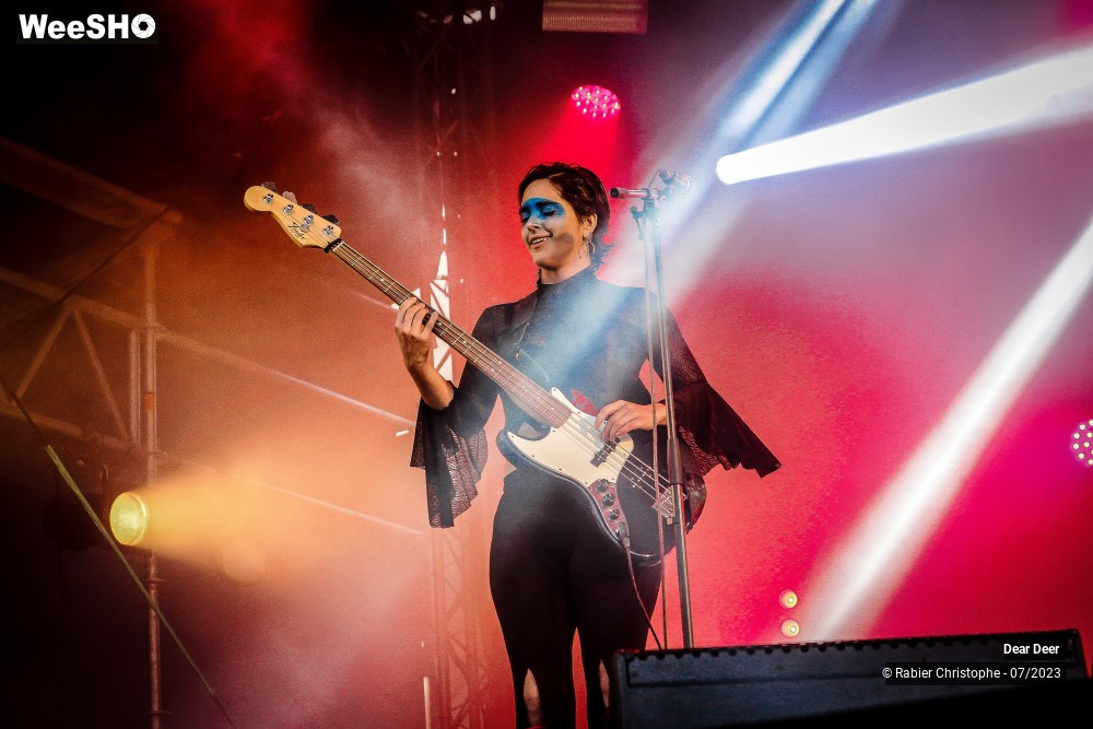 1/19 photos du spectacle Dear deer