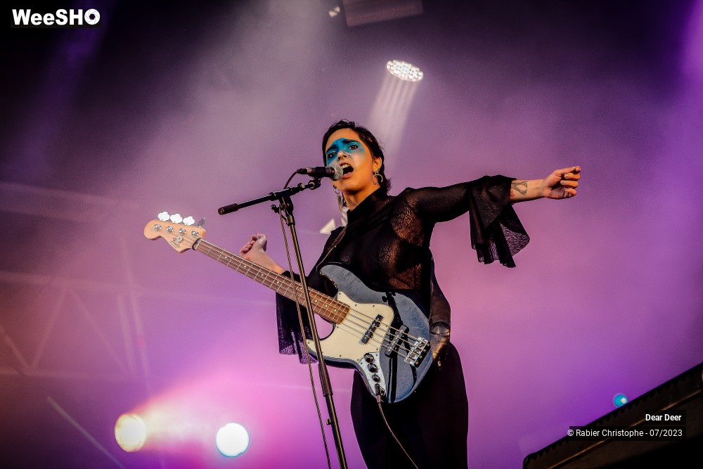 11/19 photos du spectacle Dear deer